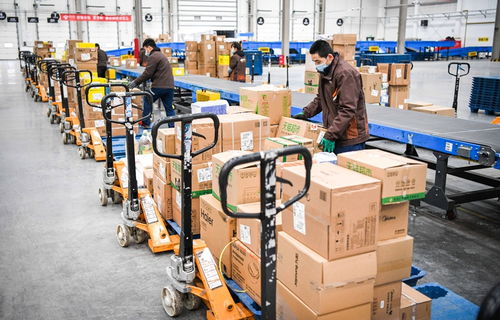 哈爾濱重點(diǎn)物流企業(yè)復(fù)工率超90%，城市物流動(dòng)脈強(qiáng)勁復(fù)蘇